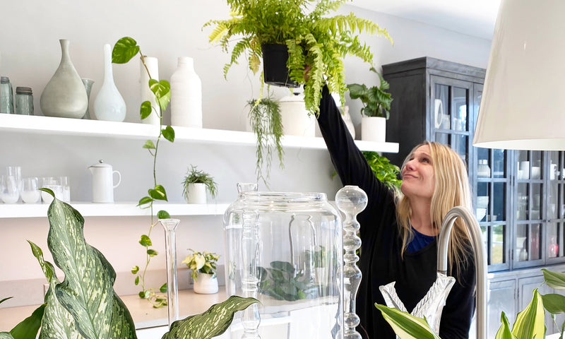 Self Care at Home with Indoor Plants...Let's plantercise!